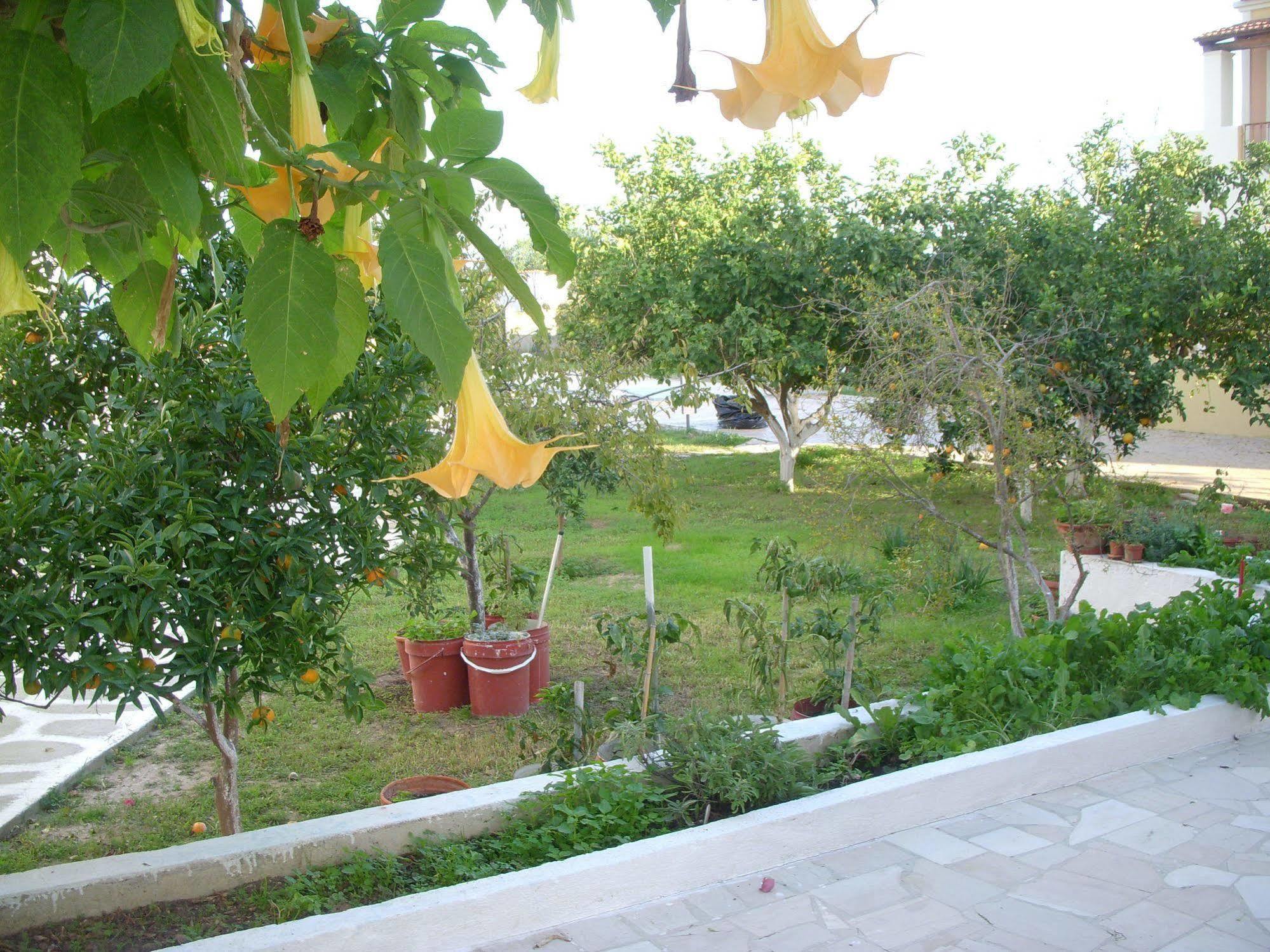 Likourgos Beach Kávos Dış mekan fotoğraf
